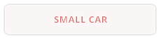 SMALL CAR
