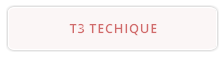 T3 TECHIQUE